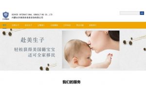 內(nèi)蒙古丹佛商務(wù)信息咨詢(xún)有限公司